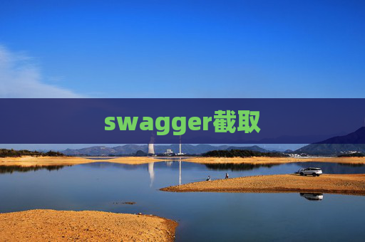 swagger截取
